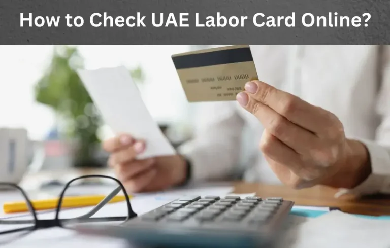 How to Check UAE Labor Card Online 2024? Complete Guide